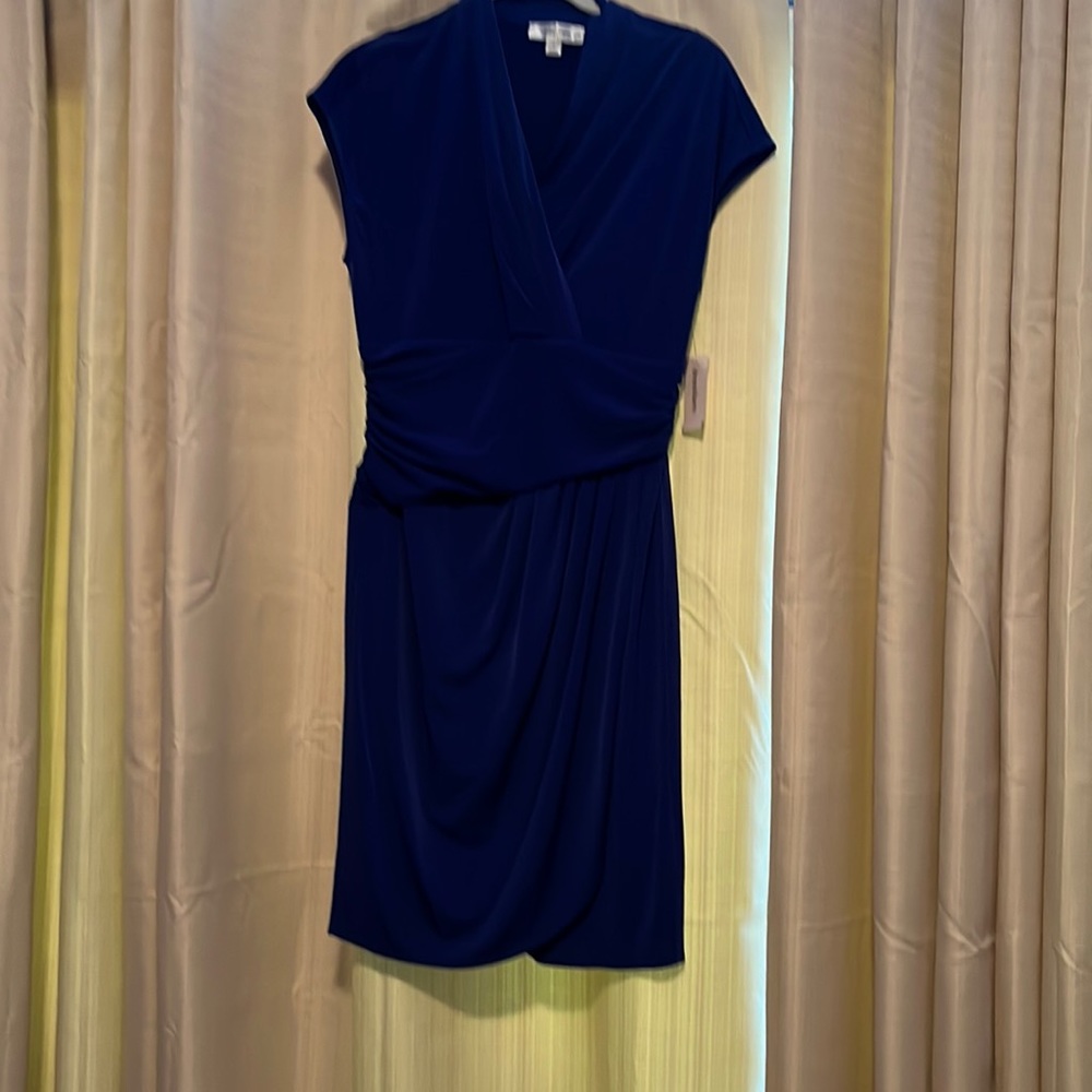 Dress Barn dress